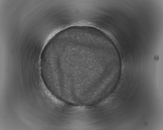 X0000111580990200908061320