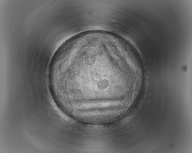 X0000111580991200908061320