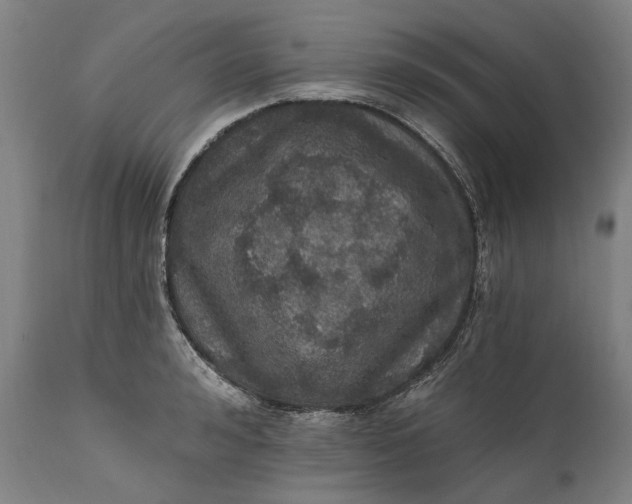 X0000111580992200908061320