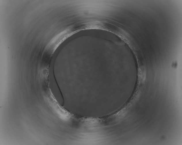 X0000111580993200908061320