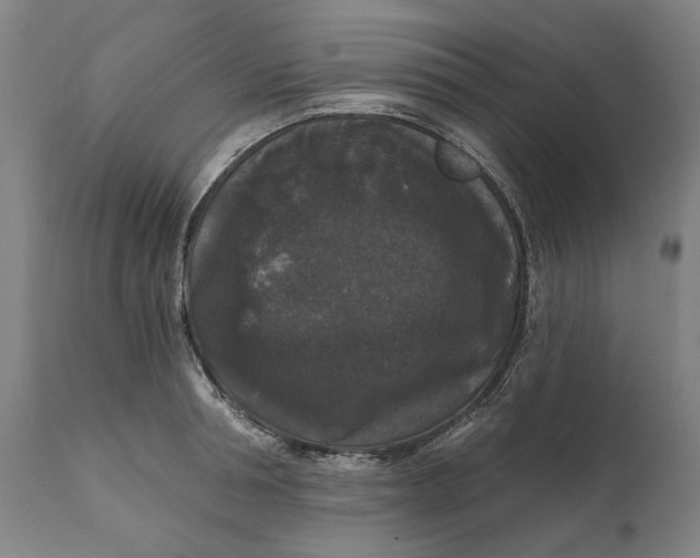 X0000111580994200908061320