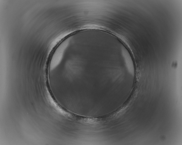 X0000111580995200908061320