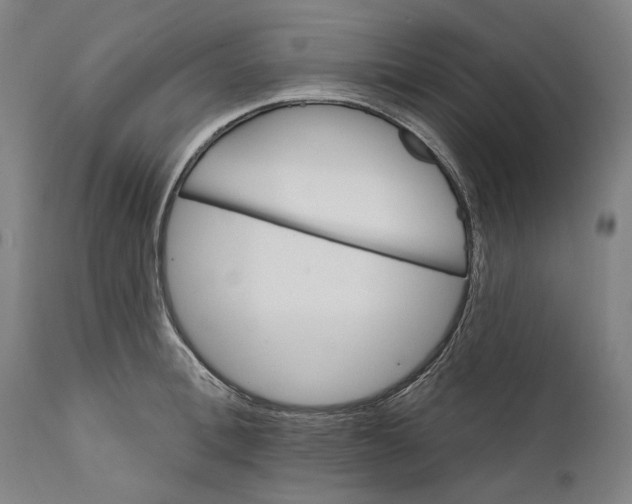 X0000111580996200908061320