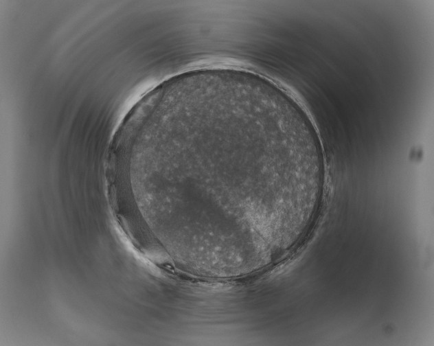 X0000111580997200908061320