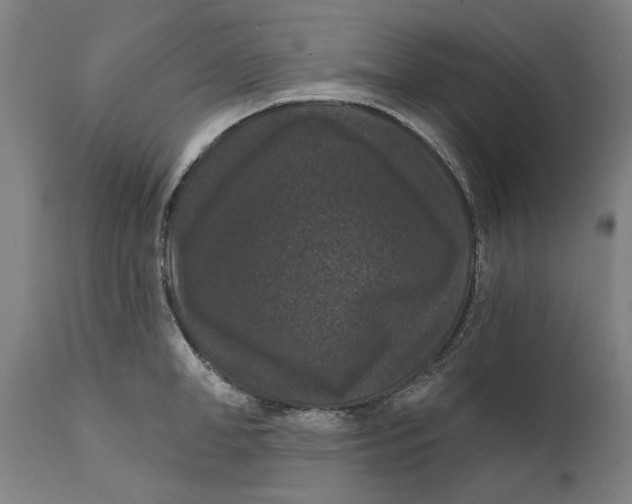 X0000111580998200908061320