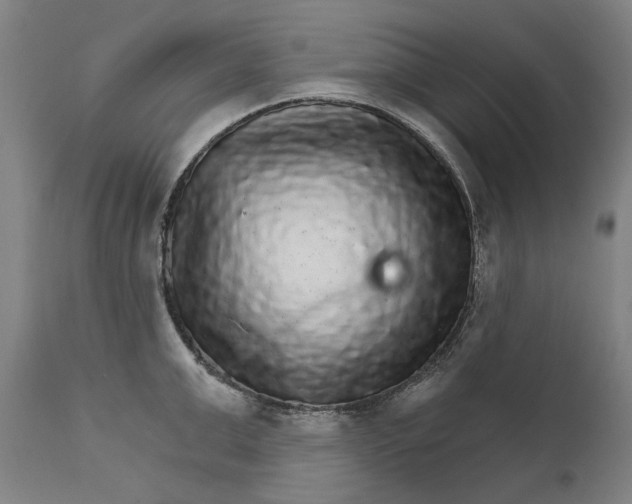 X0000111580999200908061320