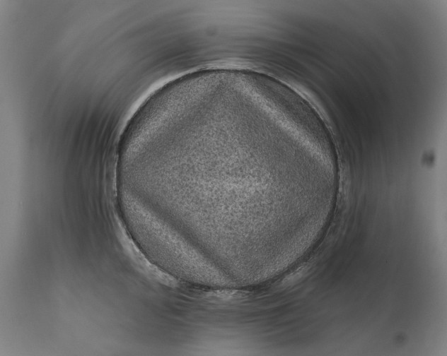 X0000111581000200908061320