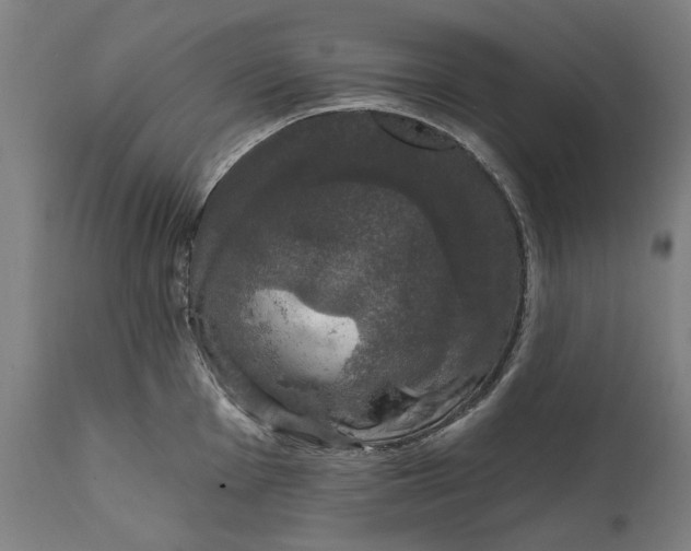 X0000111581001200908061320