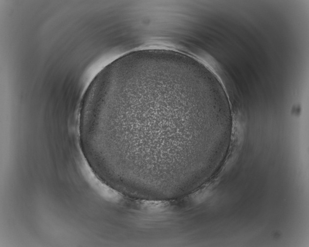 X0000111581003200908061320