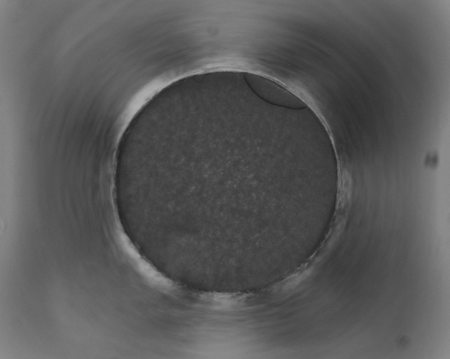 X0000111581005200908061320