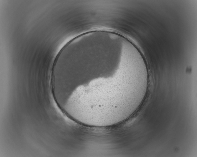 X0000111581007200908061320