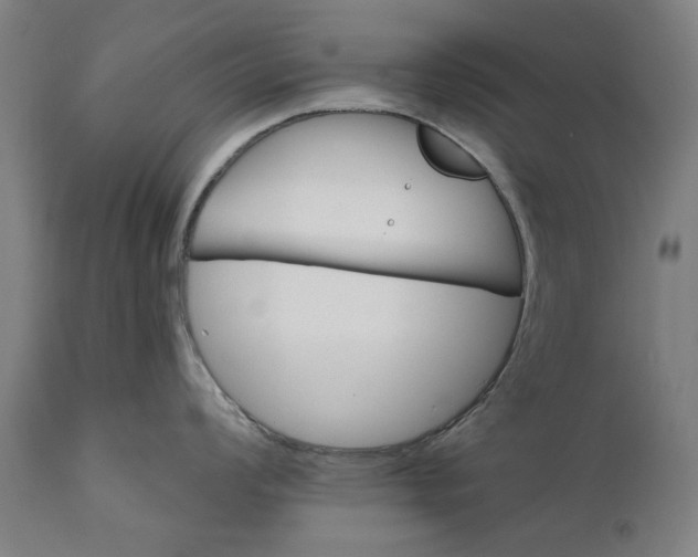 X0000111581008200908061320