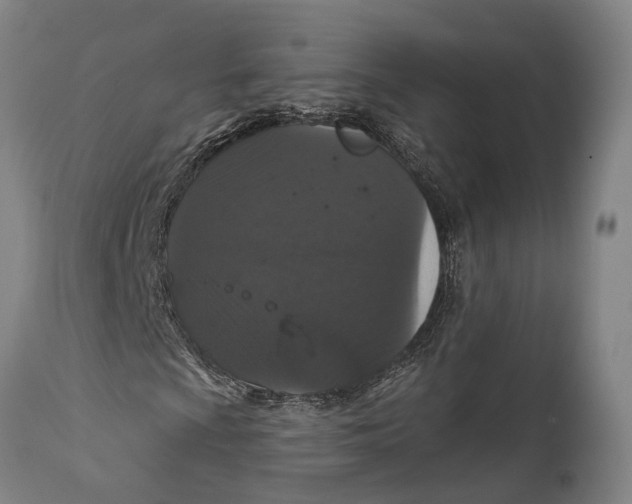 X0000111581009200908061319