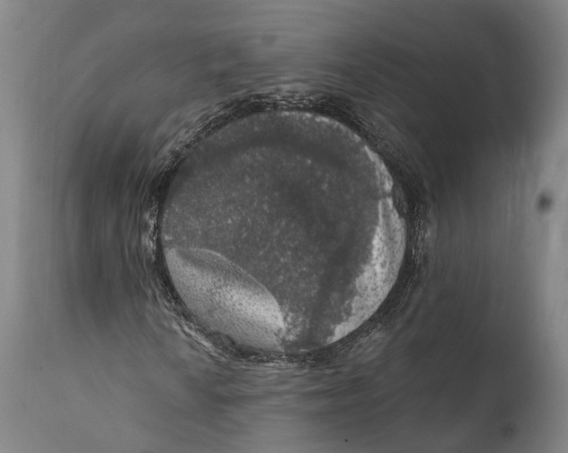 X0000111581010200908061320