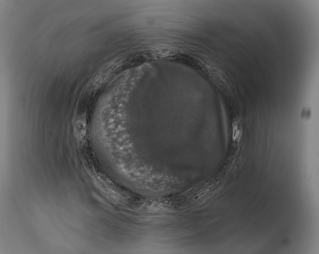 X0000111581011200908061320