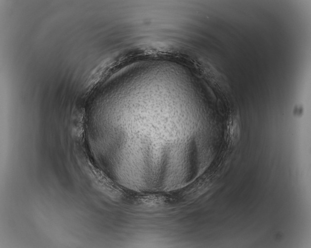 X0000111581012200908061320