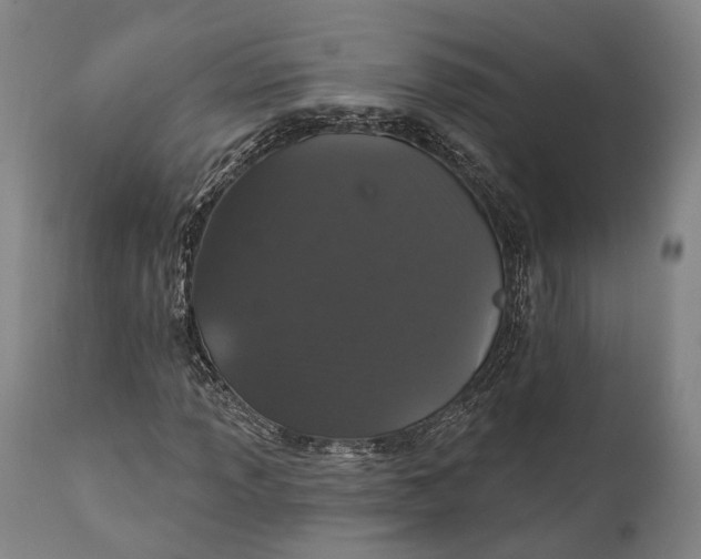 X0000111581013200908061320