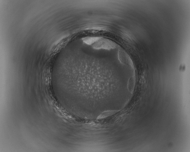 X0000111581014200908061320