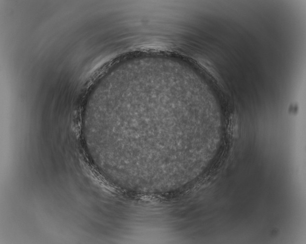 X0000111581015200908061320