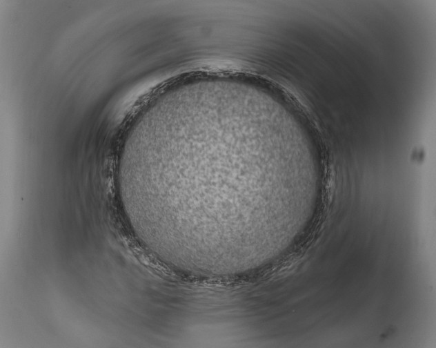 X0000111581016200908061320