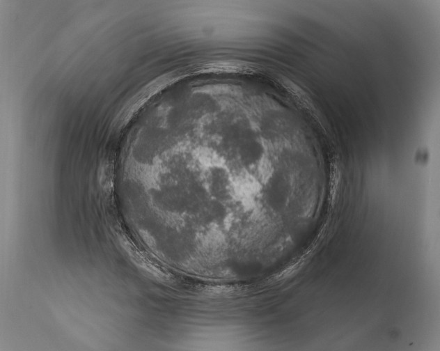 X0000111581017200908061320