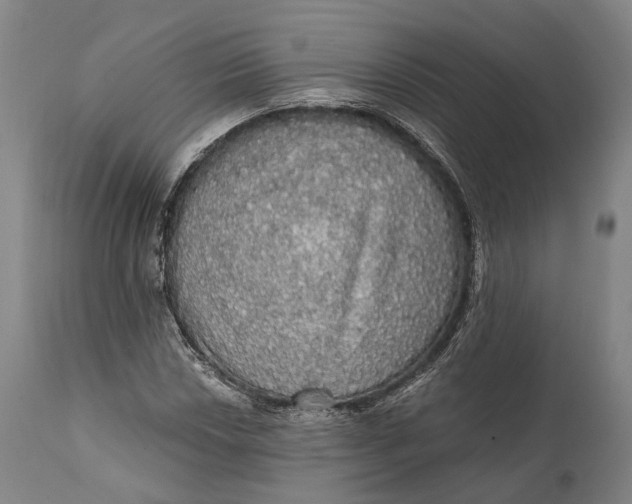 X0000111581018200908061320