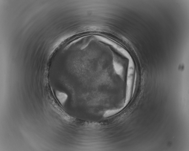 X0000111581019200908061320