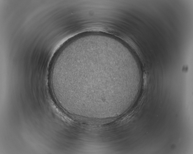 X0000111581020200908061320