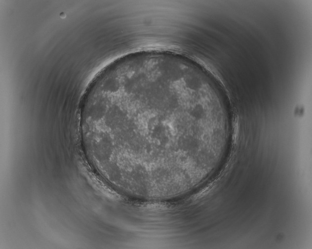 X0000111581021200908061320