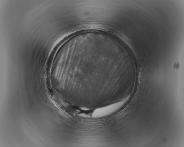 X0000111581024200908061320