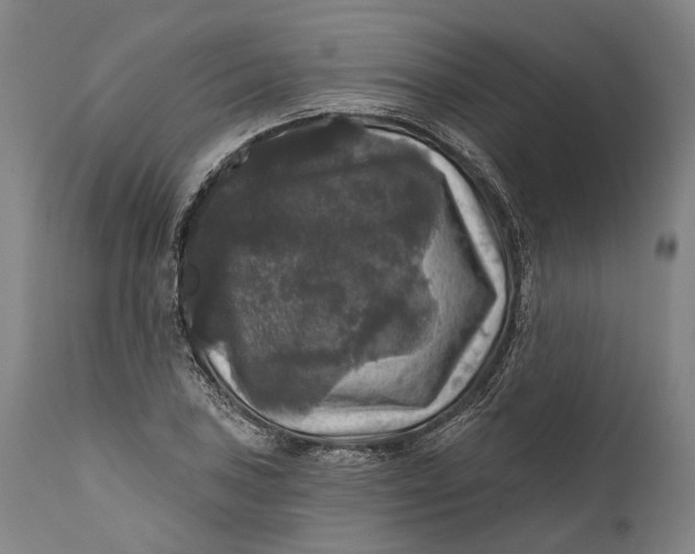 X0000111581027200908061320