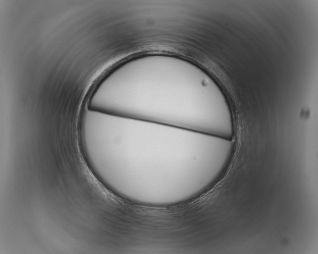 X0000111581028200908061320