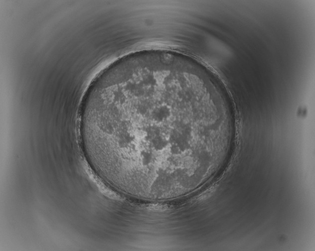 X0000111581029200908061320