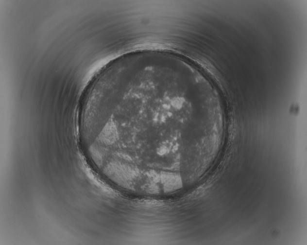 X0000111581030200908061320