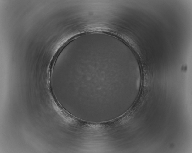 X0000111581031200908061320