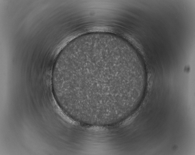 X0000111581033200908061320