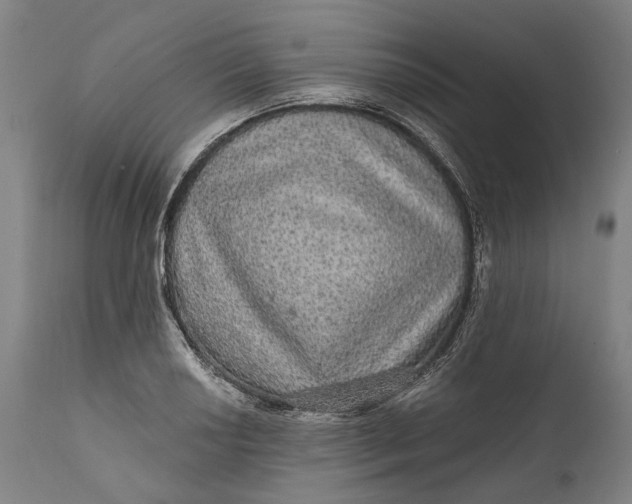 X0000111581034200908061320