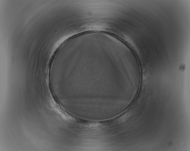 X0000111581035200908061320