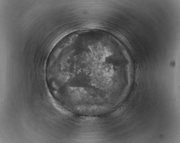 X0000111581039200908061320