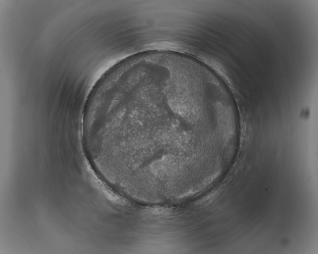 X0000111581040200908061320