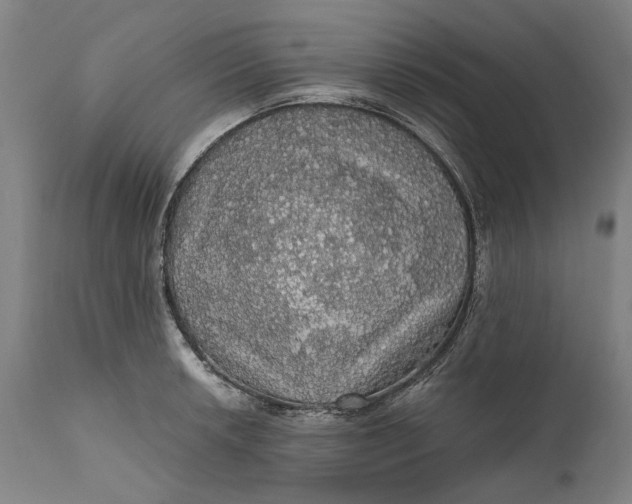 X0000111581042200908061320