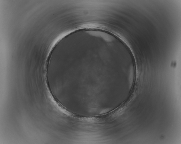 X0000111581045200908061320