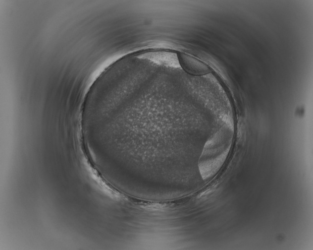 X0000111581048200908061320