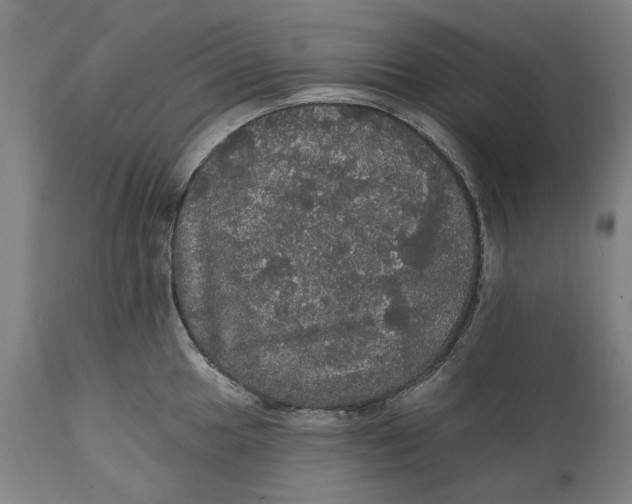 X0000111581049200908061320