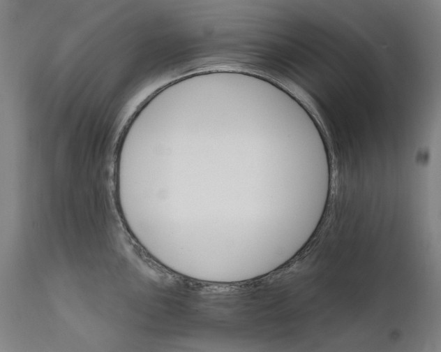 X0000111581051200908061320