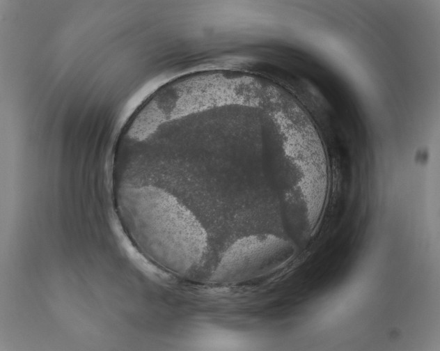 X0000111581054200908061320