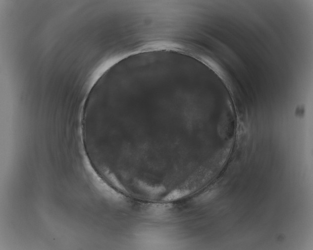 X0000111581055200908061320