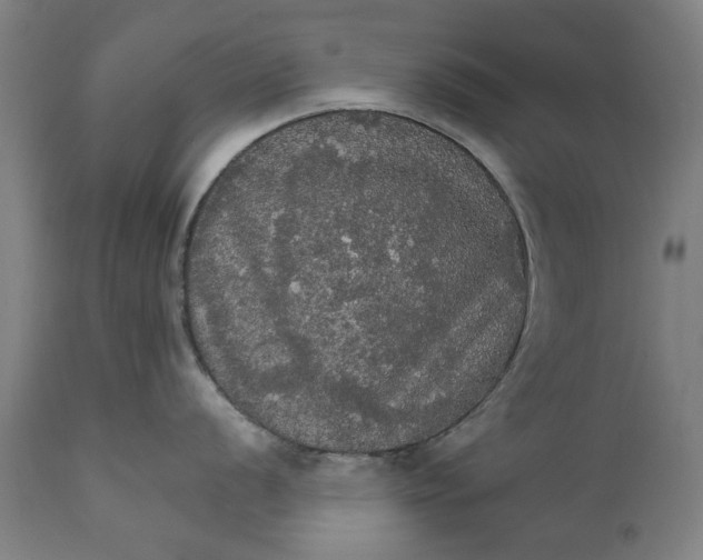 X0000111581056200908061320