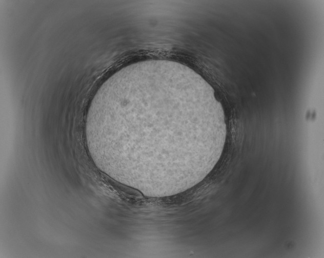 X0000111581057200908061319