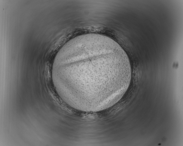 X0000111581058200908061319